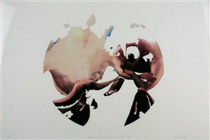 Image description is not available for 2005.009